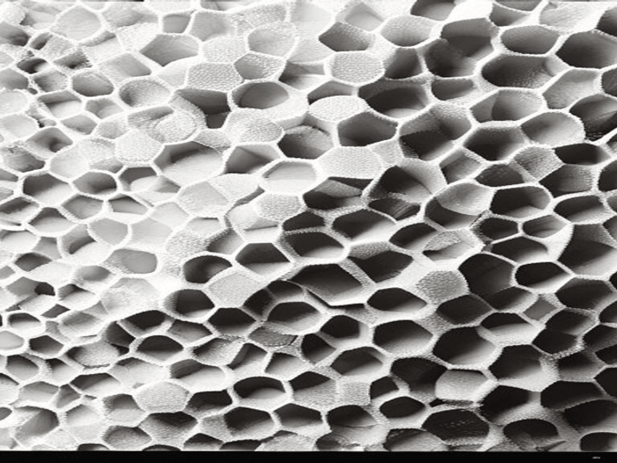 SEM micrograph of fine UREXCEED PU foam — small uniform polygonal closed cells, high closed-cell ratio