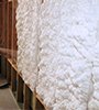 insulation foam